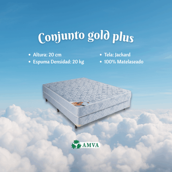conj.gold plus espuma